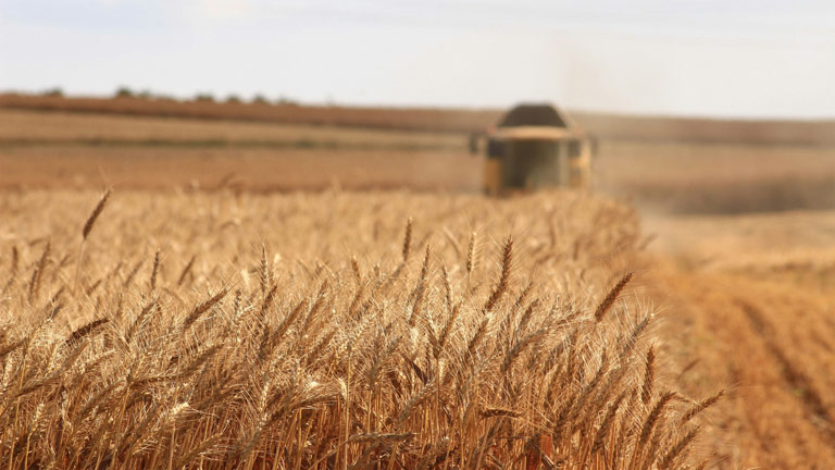 Secteur agricole